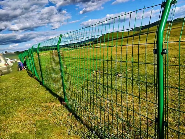 西藏圍欄成功案例